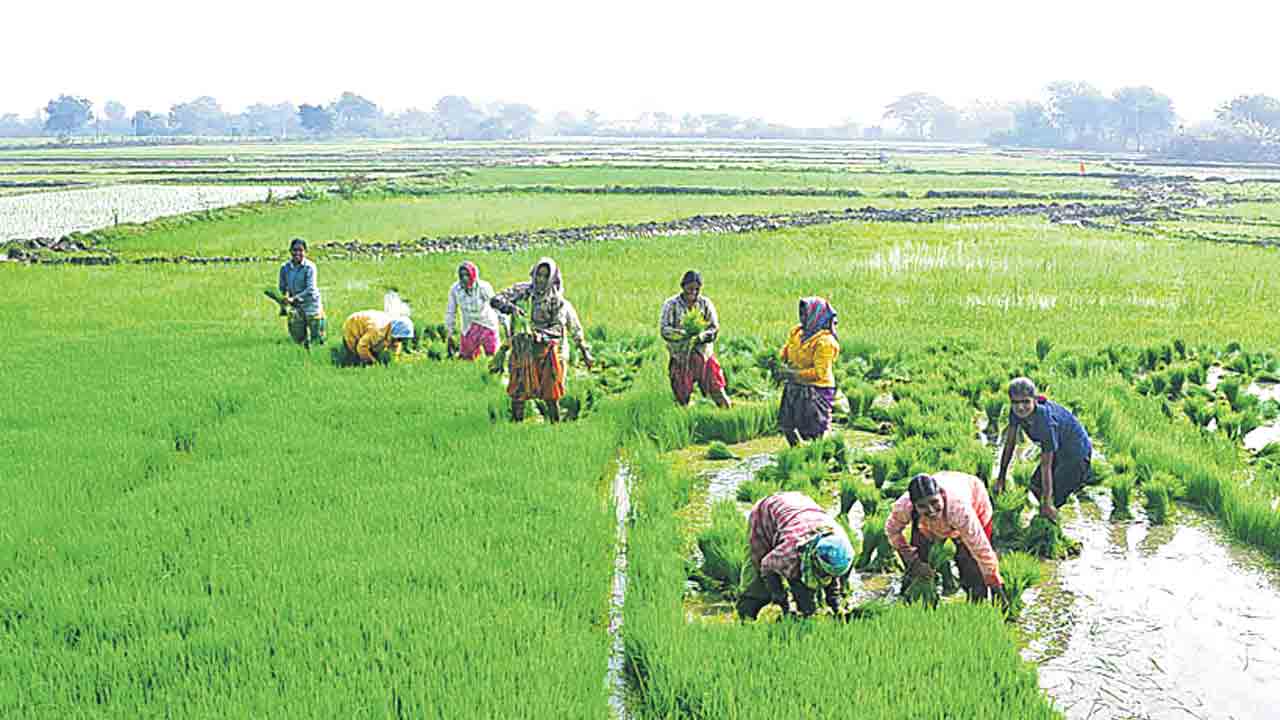 60 లక్షల ఎకరాలపైనే..