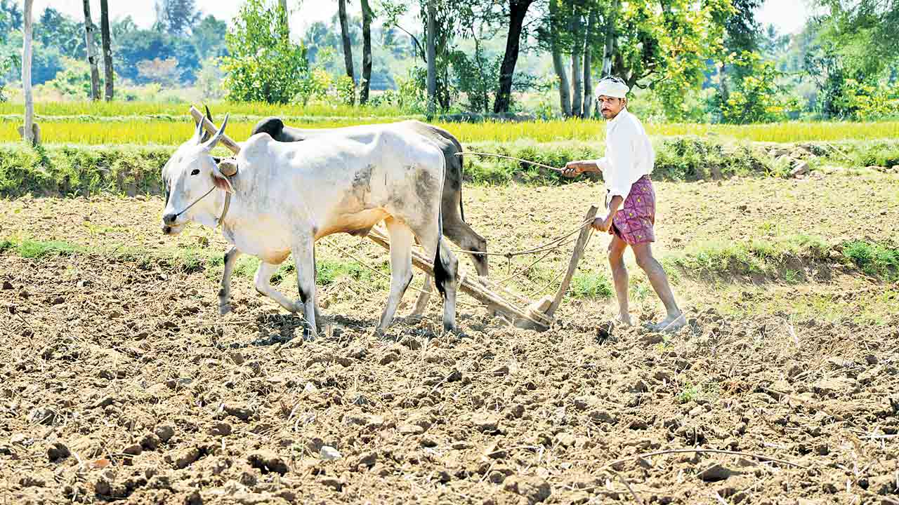 యాసంగి సాగుకు ప్రణాళిక సిద్ధం