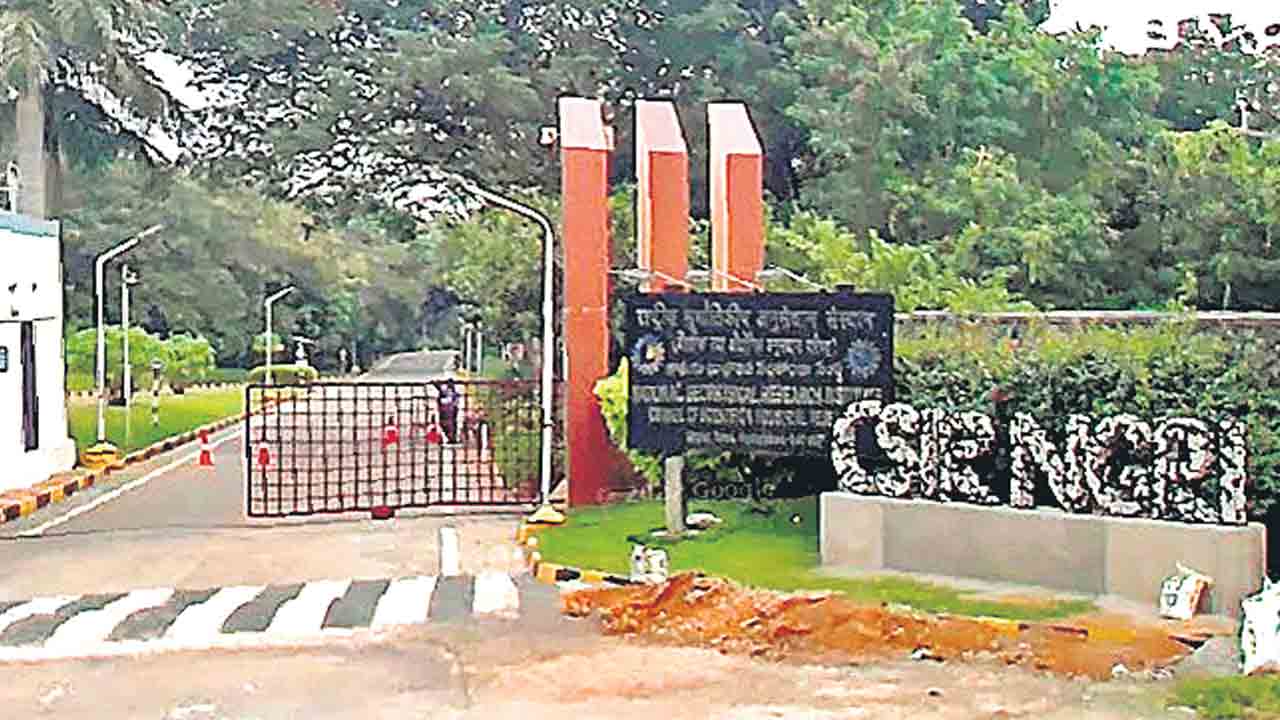 హిమాలయాల్లో ఎన్జీఆర్‌ఐ అధ్యయనం