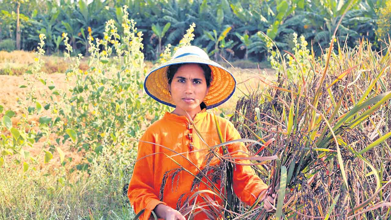 ఔషధాలు మిన్న.. రోగాలు సున్నా!
