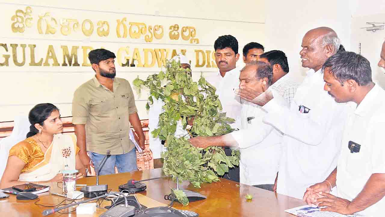 మార్కెట్‌లోకి నాసిరకం విత్తనాలు