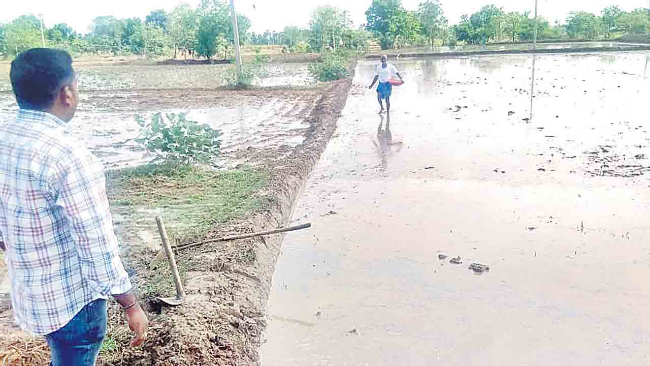 వరిసాగు బహుబాగు