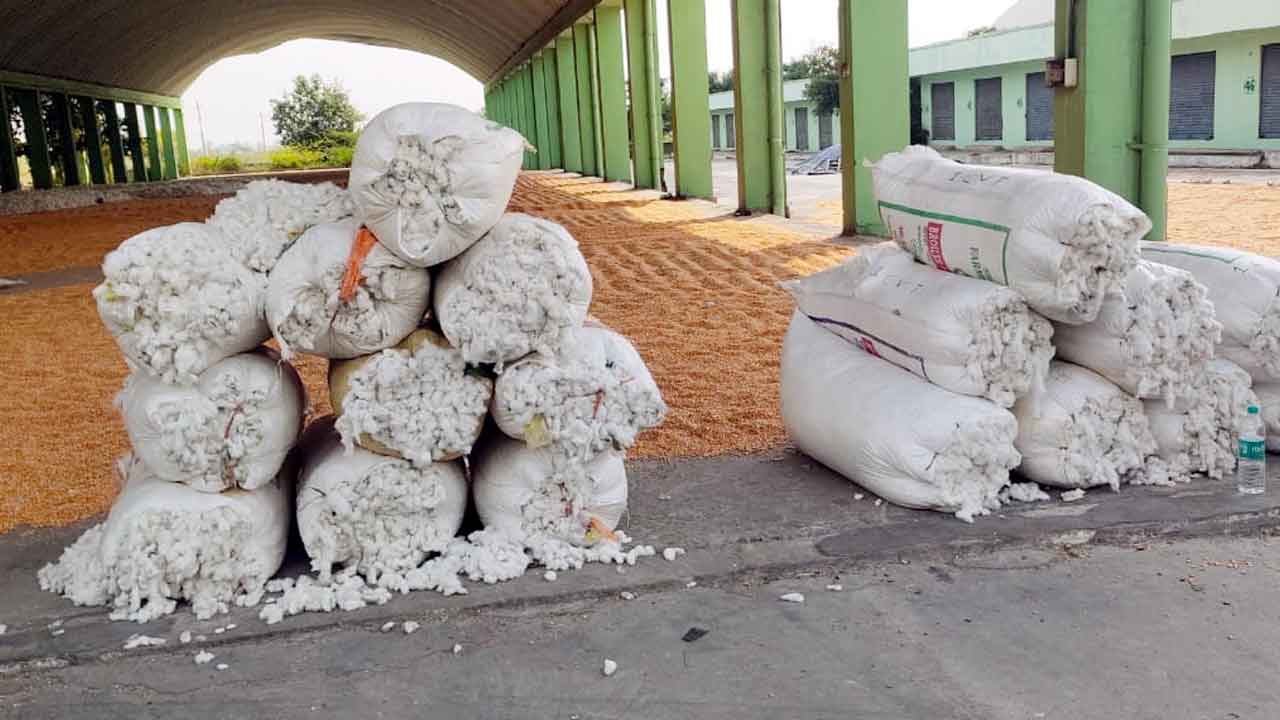 పత్తికి అధిక ధర