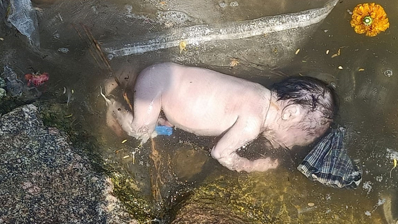 చెరువులో కొట్టుకొచ్చిన పసికందు