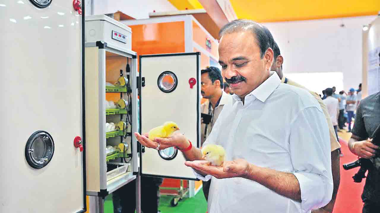 పౌల్ట్రీ అభివృద్ధికి రాష్ట్ర ప్రభుత్వం కృషి