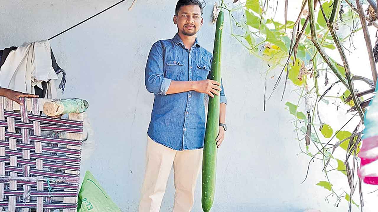 పొట్ల కాయ కాదు.. సొరకాయే!