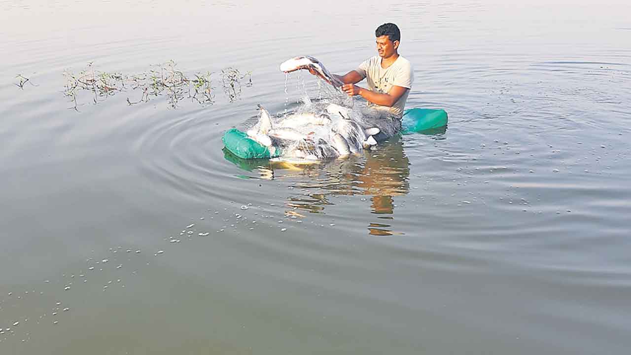 మత్స్యకారుల కుటుంబాల్లో వెలుగులు