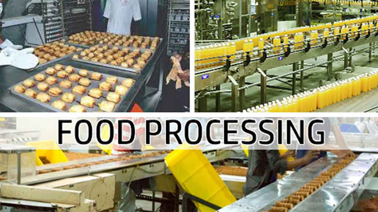 ఆహారశుద్ధి పరిశ్రమకు అండ