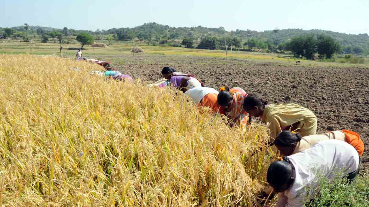గతేడాదికి మించి..
