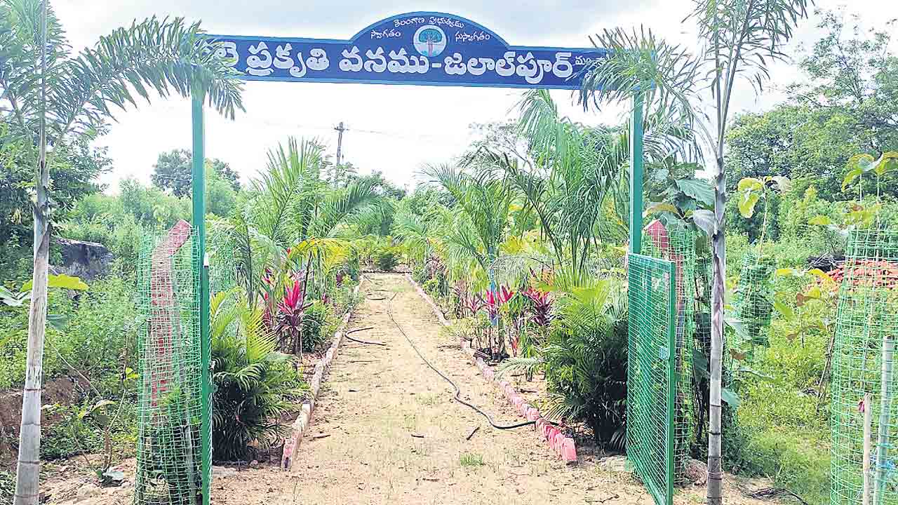 హరిత స్ఫూర్తి