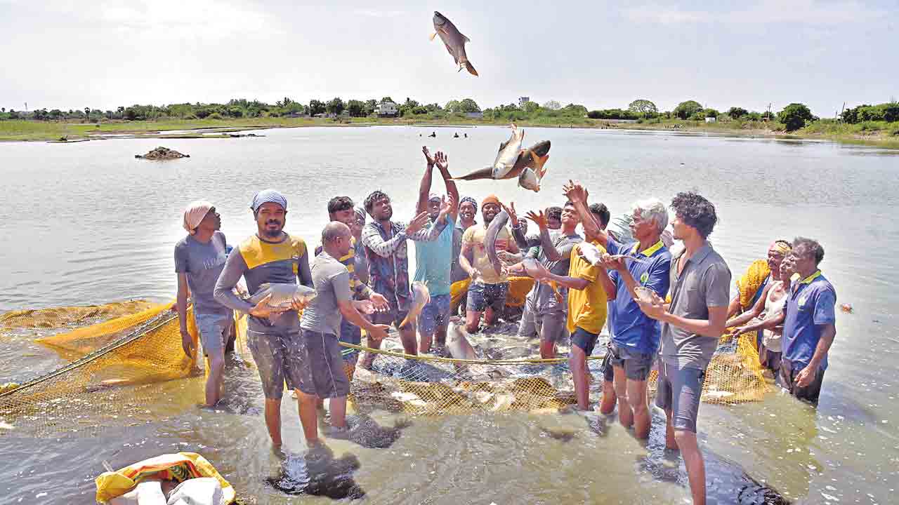 స్వరాష్ట్రంలో ముది‘రాజు’లు