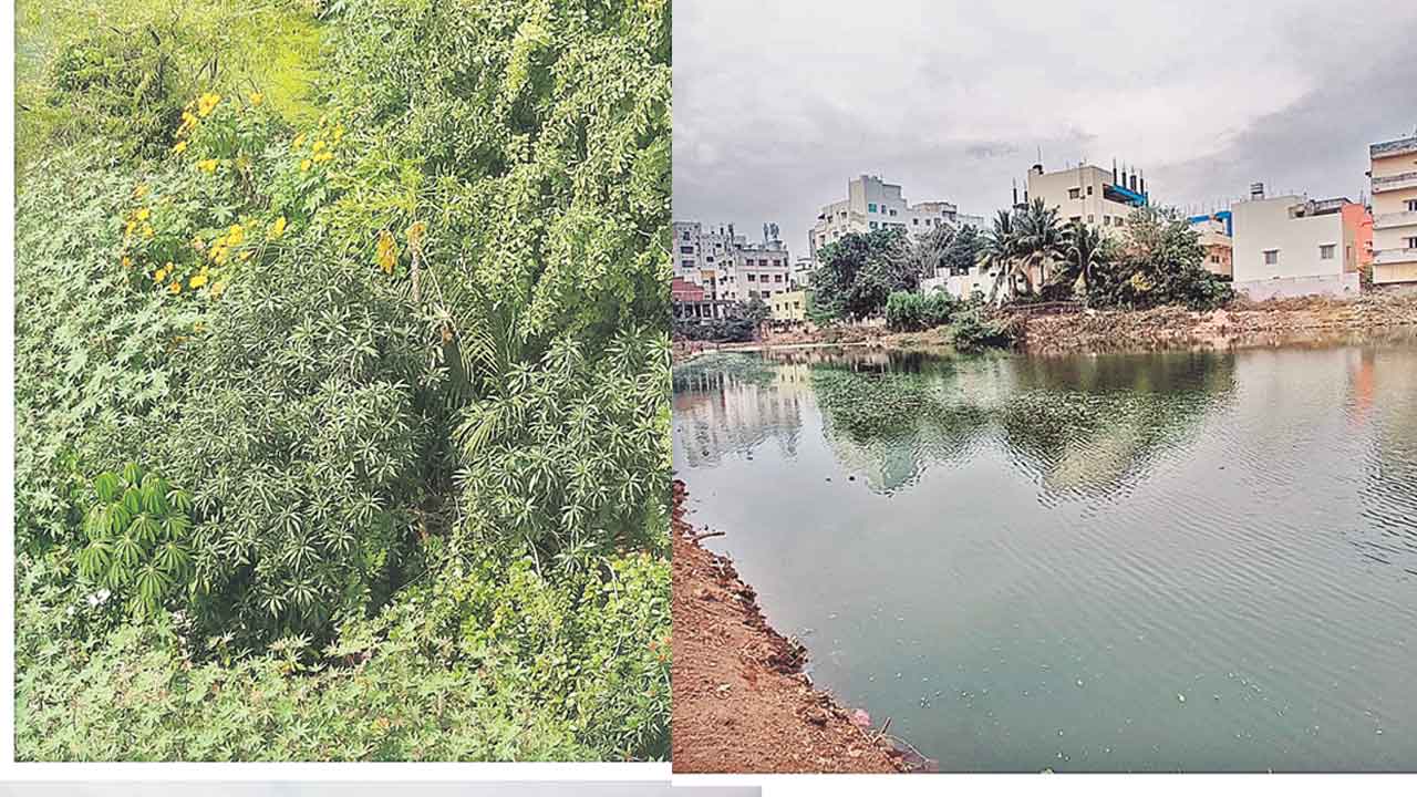 ‘దేవునికుంట’కు మహర్దశ