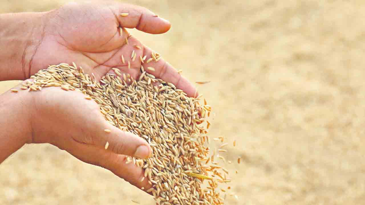 ధాన్యం కొనుగోళ్లు.. ధనాధన్