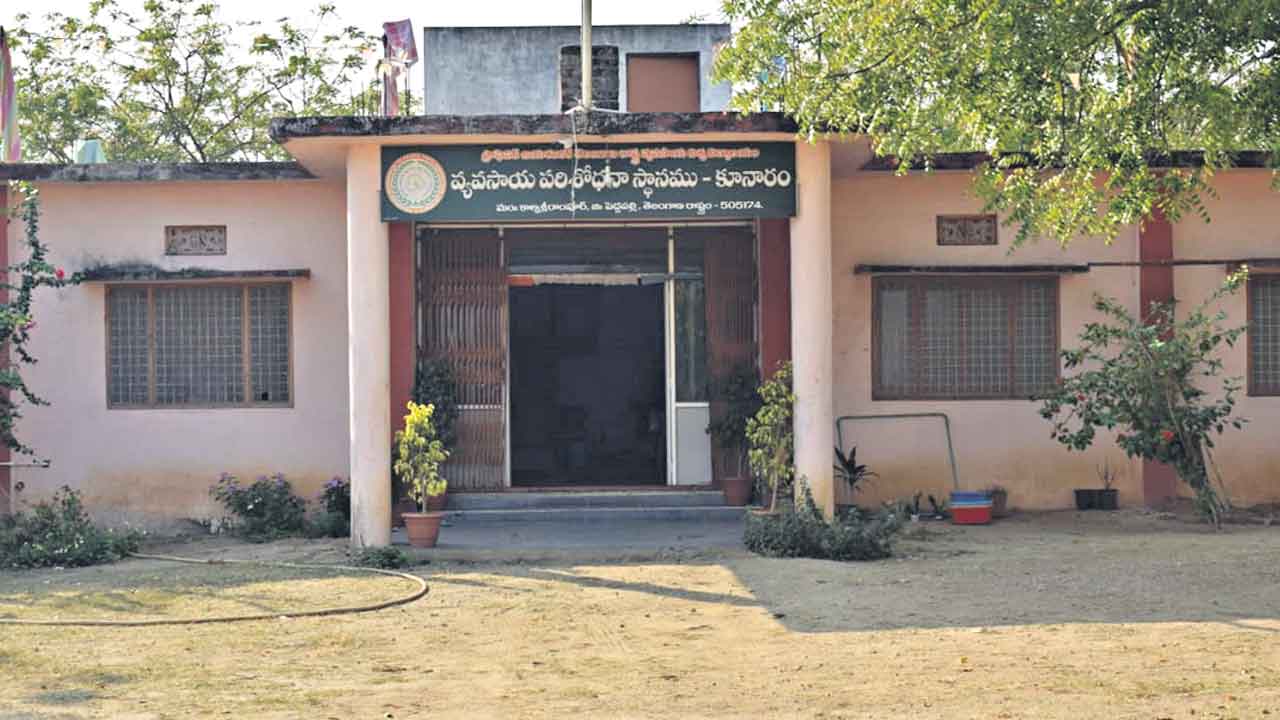 అత్యుత్తమం.. కూనారం వంగడం!