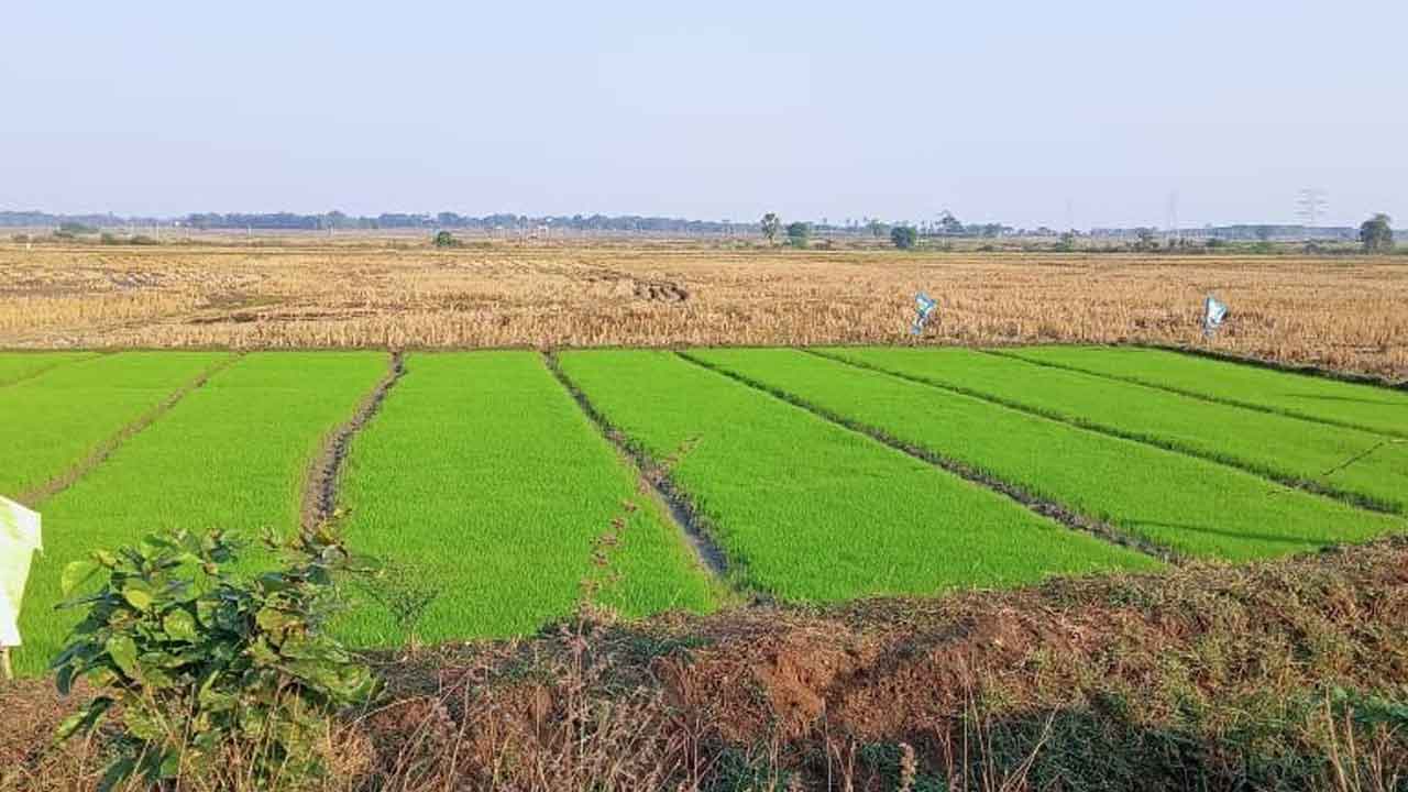 రబీ సాగుకు సిద్ధం