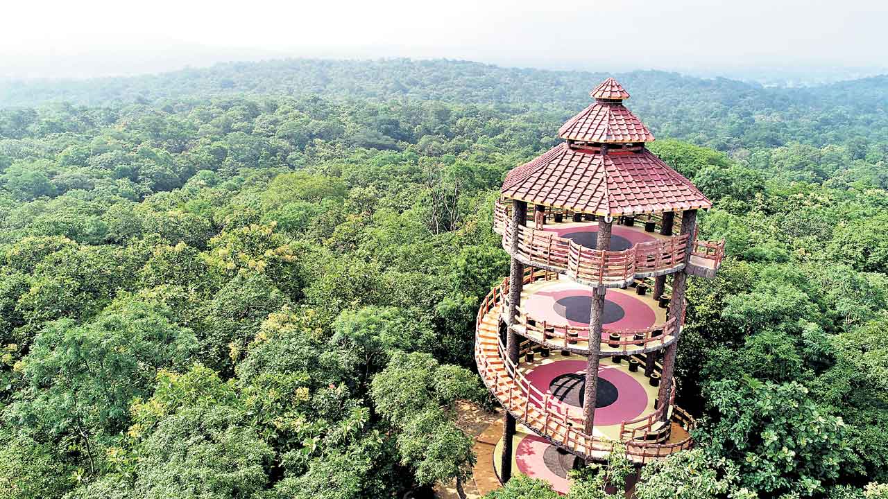 పచ్చదనం పరిచిన తెలంగాణ.. రెండేండ్లలో 334 చ.కి.మీ.పెరిగిన గ్రీనరీ 