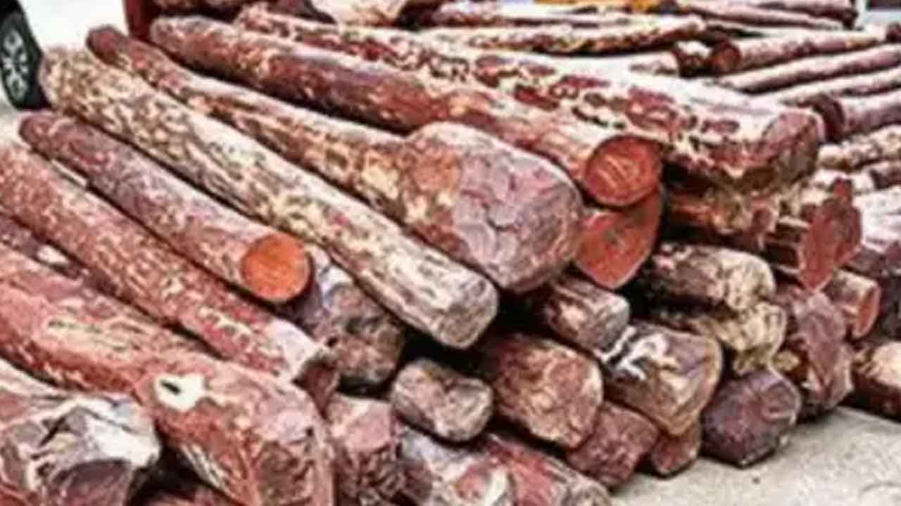 తిరుమలలో భారీగా ఎర్రచందనం దుంగలు స్వాధీనం