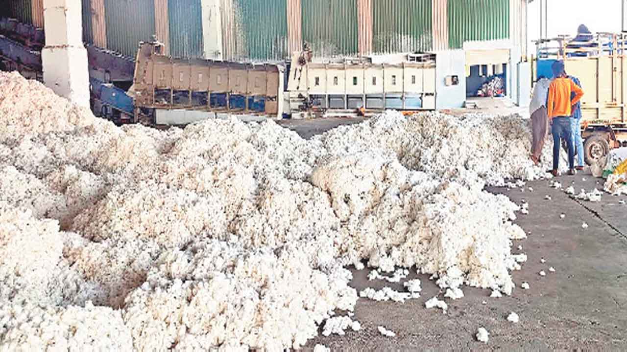 దూదిరైతు మురిపెం..