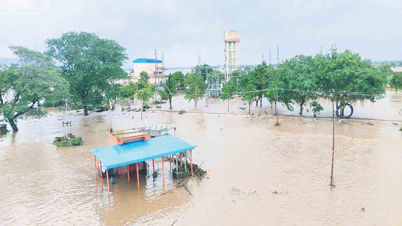 యాసంగిపై ఆశలు