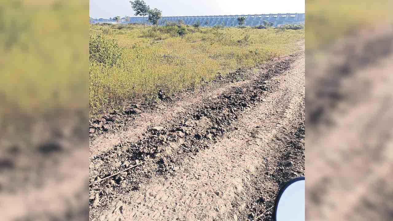 పామాయిల్‌ ఫ్యాక్టరీ వైపు అడుగులు