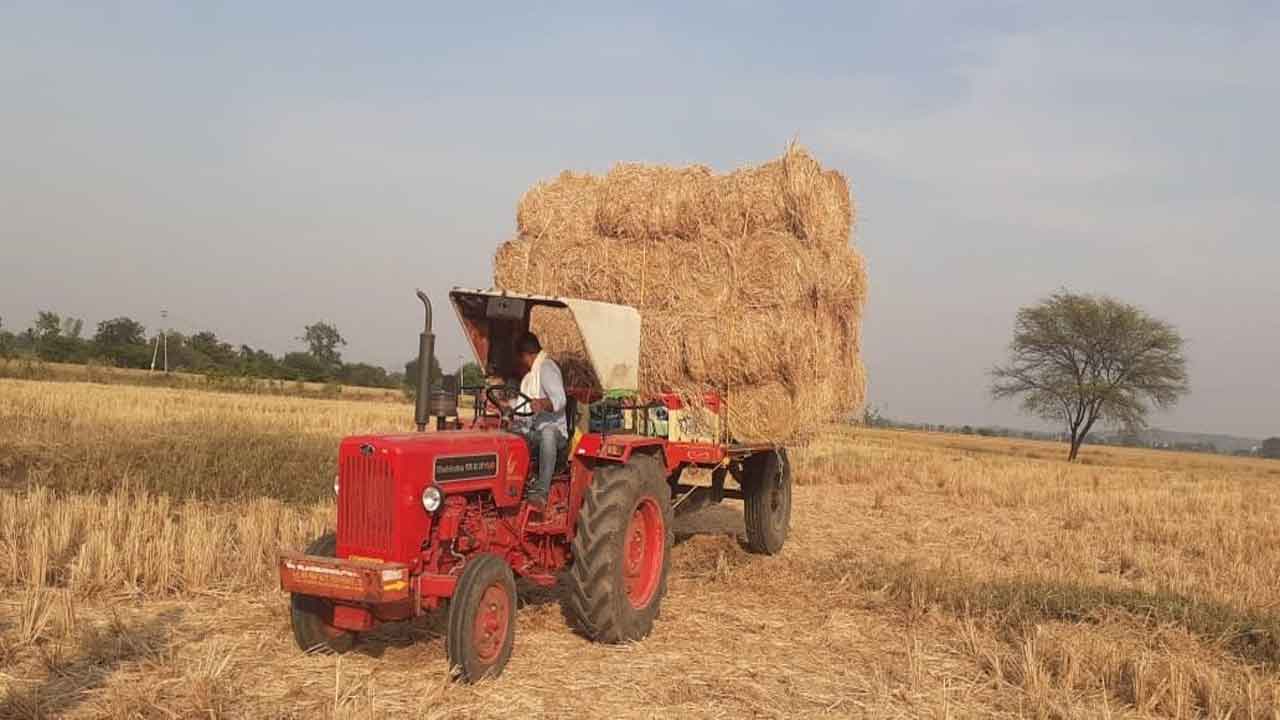 చేతికందని గడ్డి