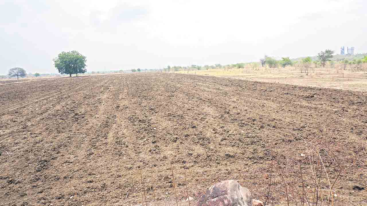యాసంగి ప్రణాళిక ఖరారు
