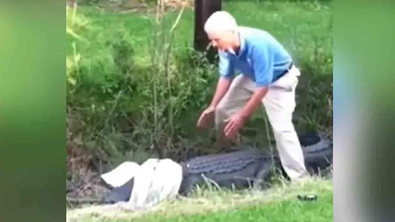 Alligator | మొసలిని పట్టుకోవాలనుకున్నాడు.. చివరకు ఏమైందంటే..?