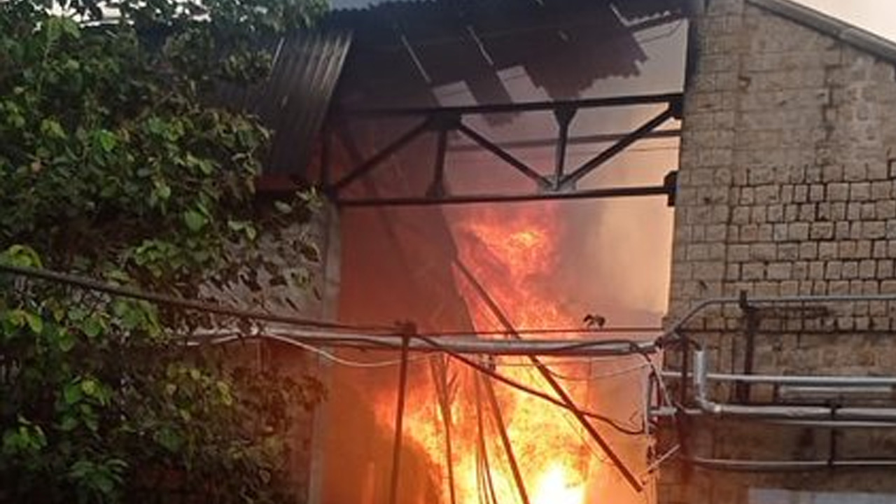 Fire accident | మెడిసిన్‌ తయారీ కంపెనీలో అగ్ని ప్రమాదం.. మహిళ సహా నలుగురు దుర్మరణం