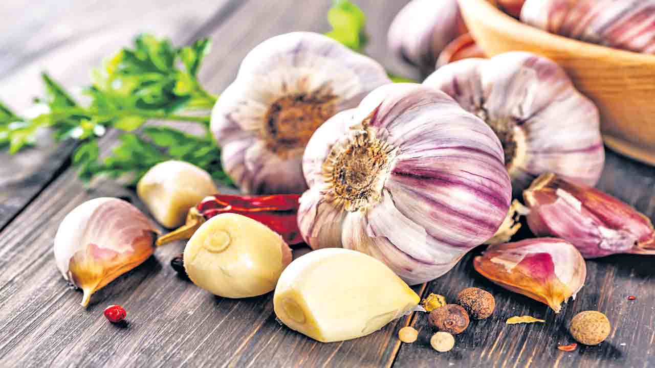 Garlic Health benefits | చలికాలం.. వెల్లుల్లి సాయం!