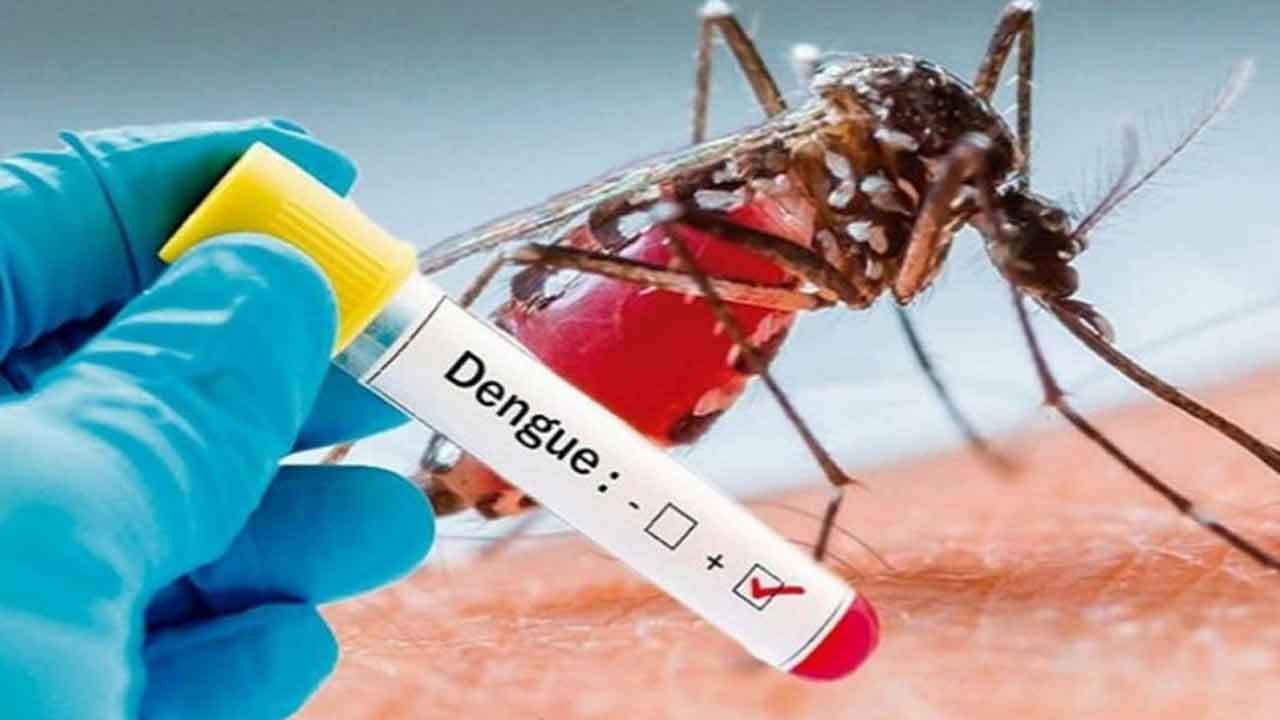 Dengue deaths | హర్యానాలో డెంగ్యూ మరణాల కొత్త రికార్డు