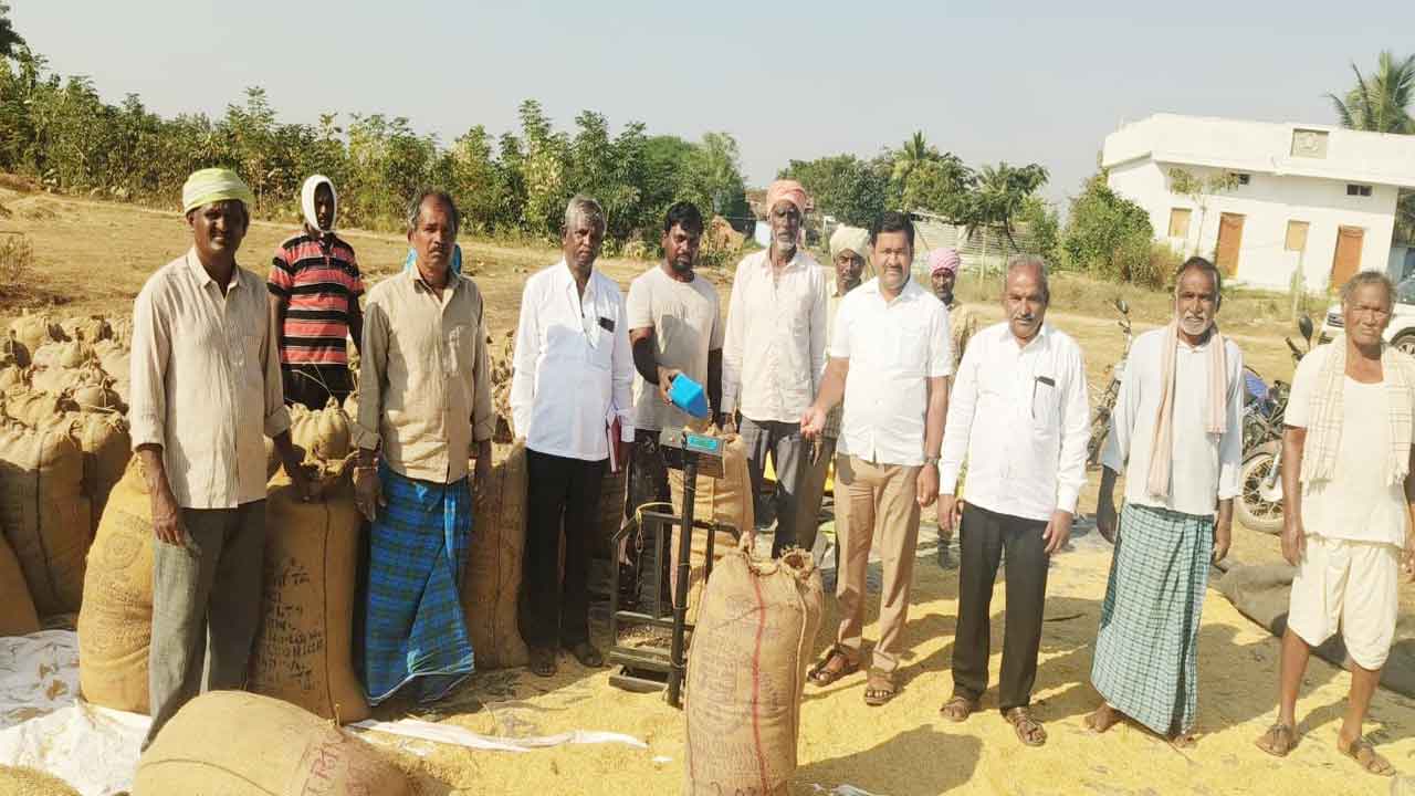 సింగిల్‌ విండో ఆధ్వర్యంలో 1.06 లక్షల క్వింటాళ్ల ధాన్యం కొనుగోలు