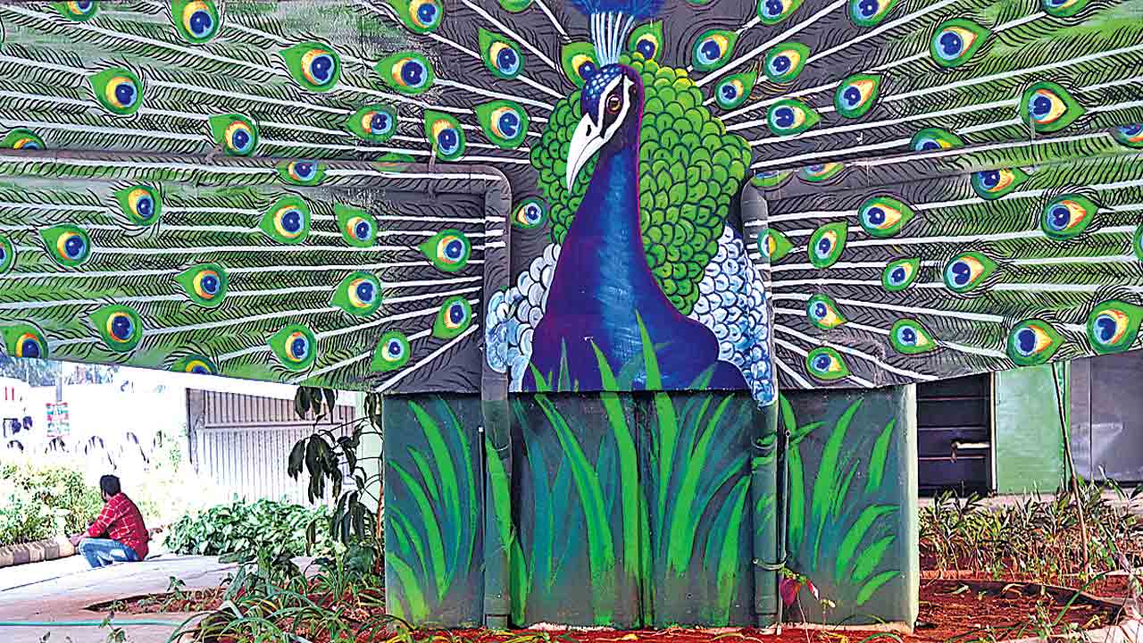 పురివిప్పిన మయూరం..