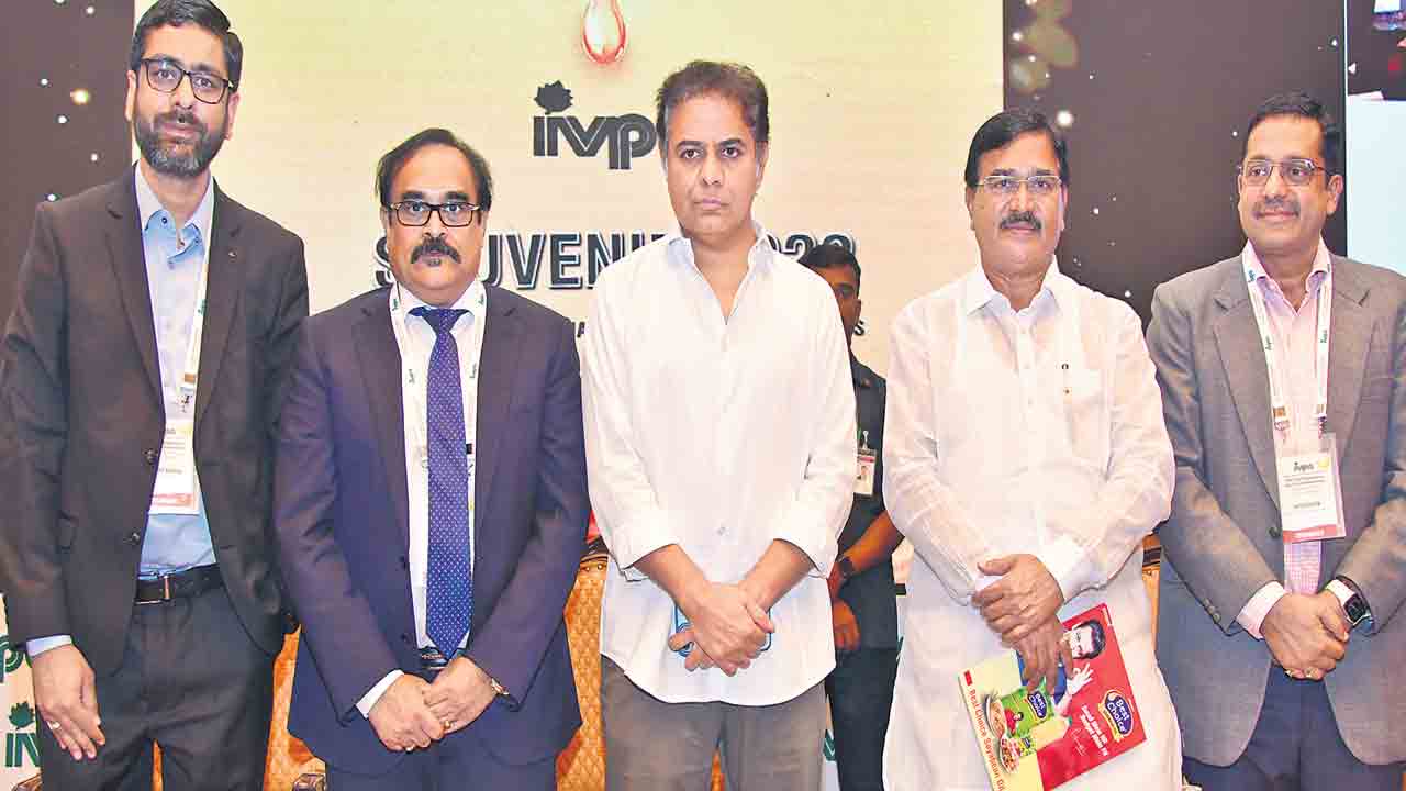 ‘ఆయిల్‌’ పంటకు అద్భుత వెదర్‌