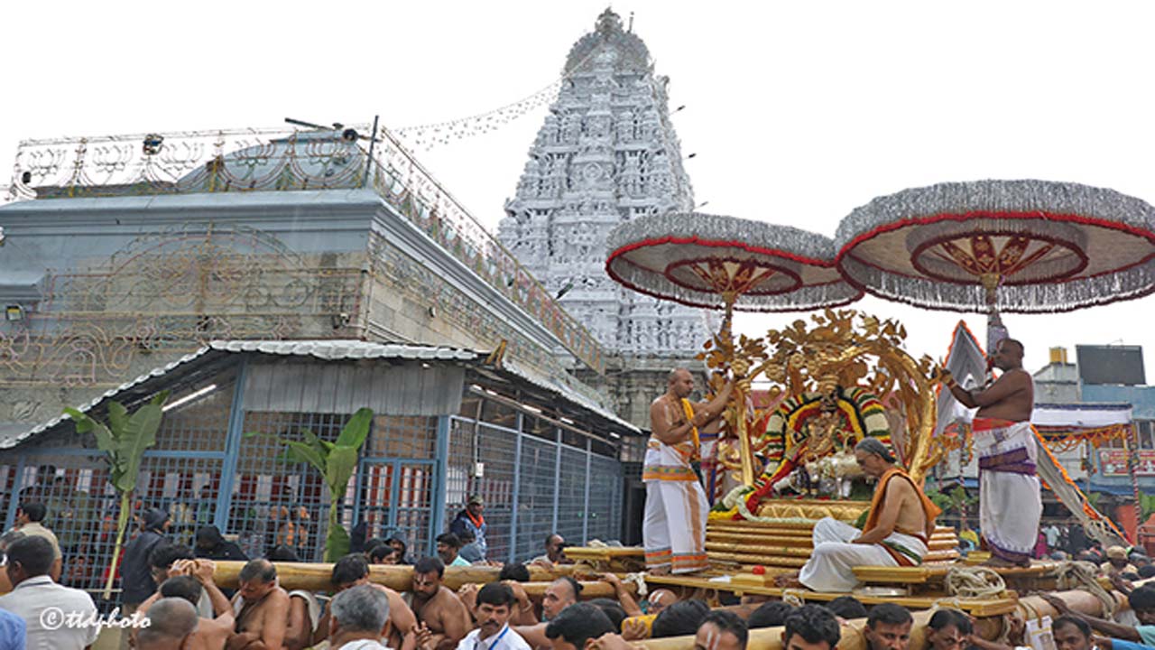 కల్పవృక్ష వాహనంపై దర్శనమిచ్చిన పద్మావతి అమ్మవారు