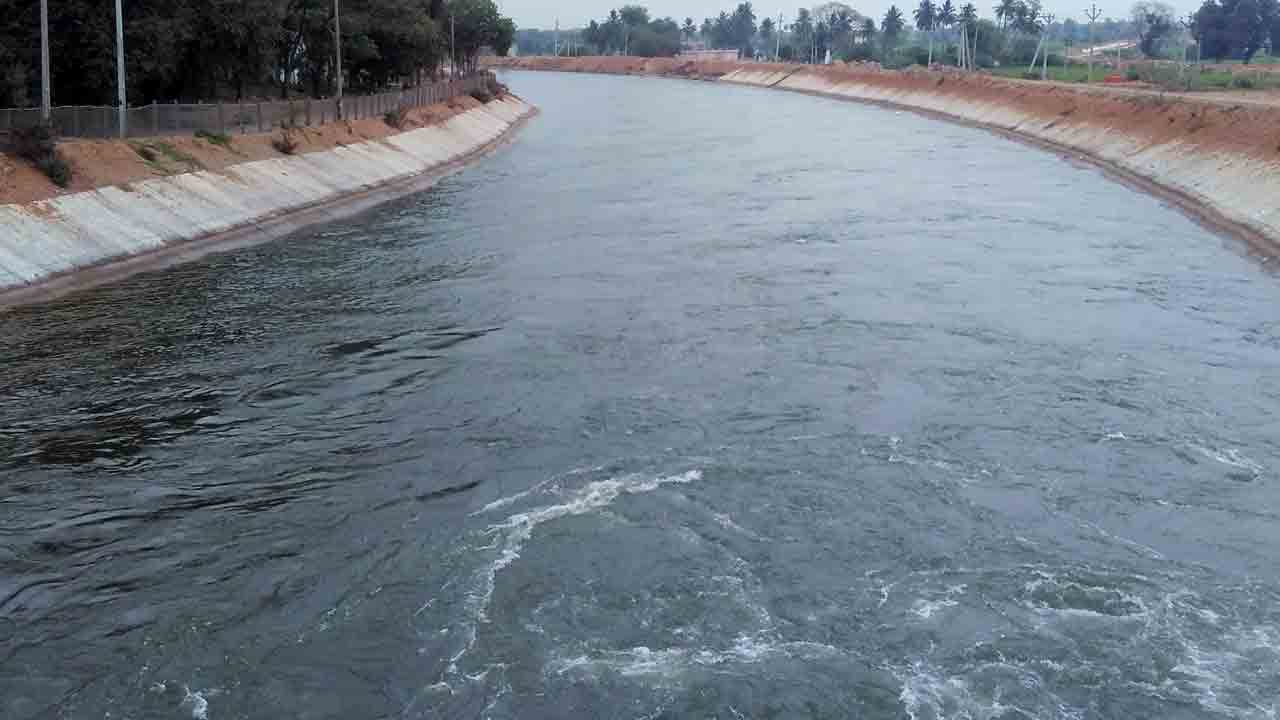 సాగు జోరు!