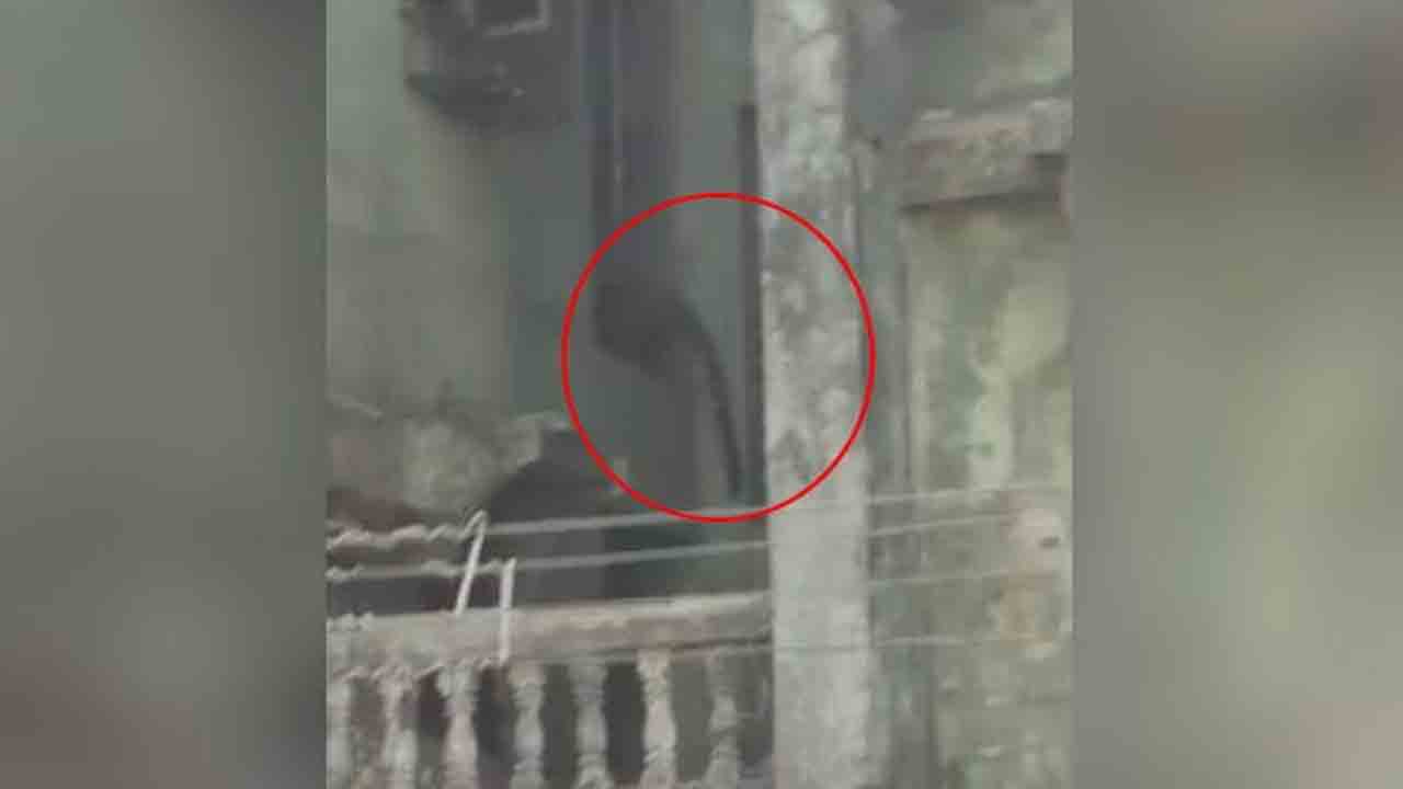 Watch: నివాస ప్రాంతంలో చిరుత సంచారం.. ముగ్గురిపై దాడి