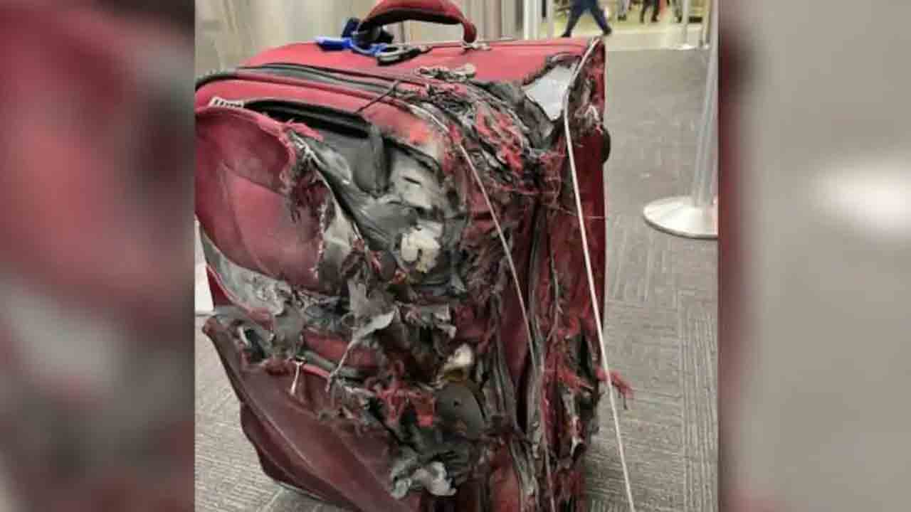 Viral News | విమాన ప్రయాణికుడికి వింత అనుభవం.. తుక్కు తుక్కైపోయింది‌..!