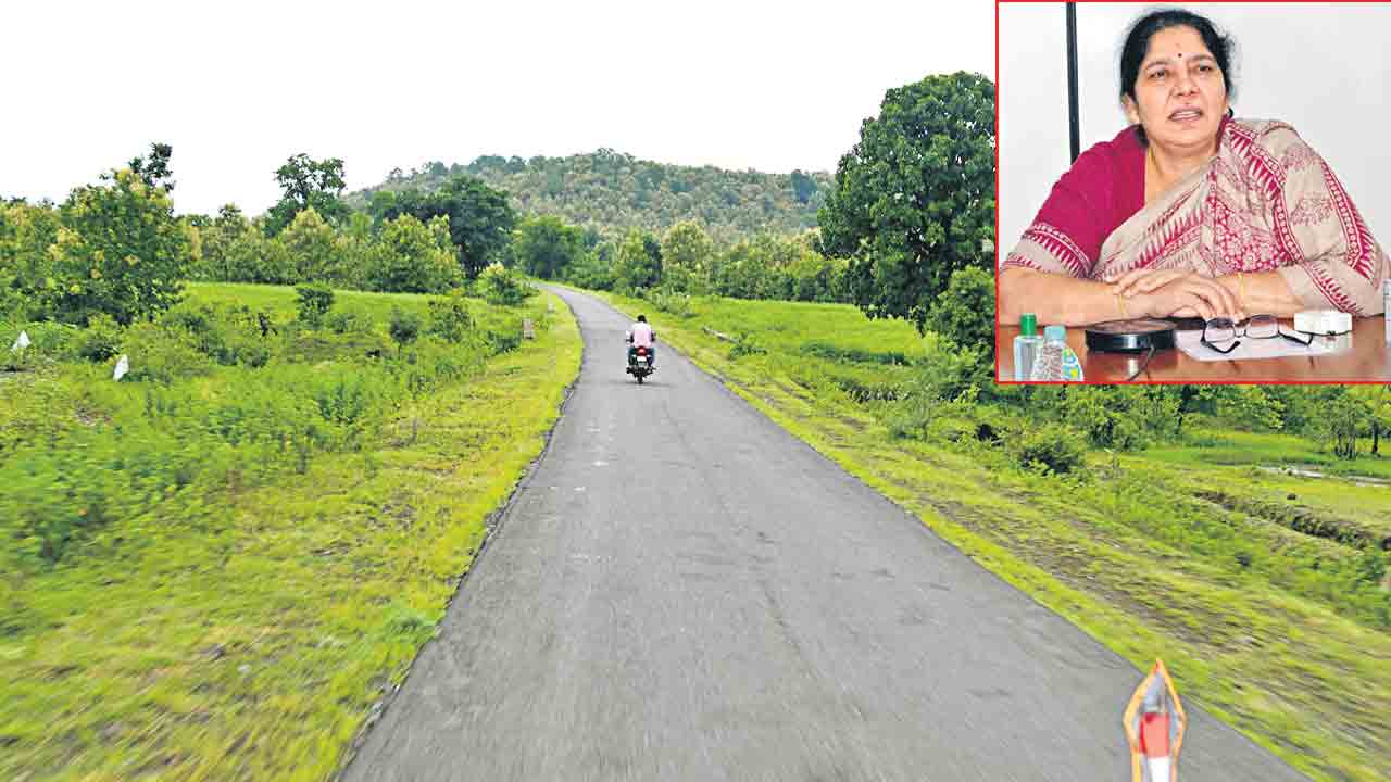 గిరిజన ఆవాసాలకు అద్దంలాంటి రోడ్లు