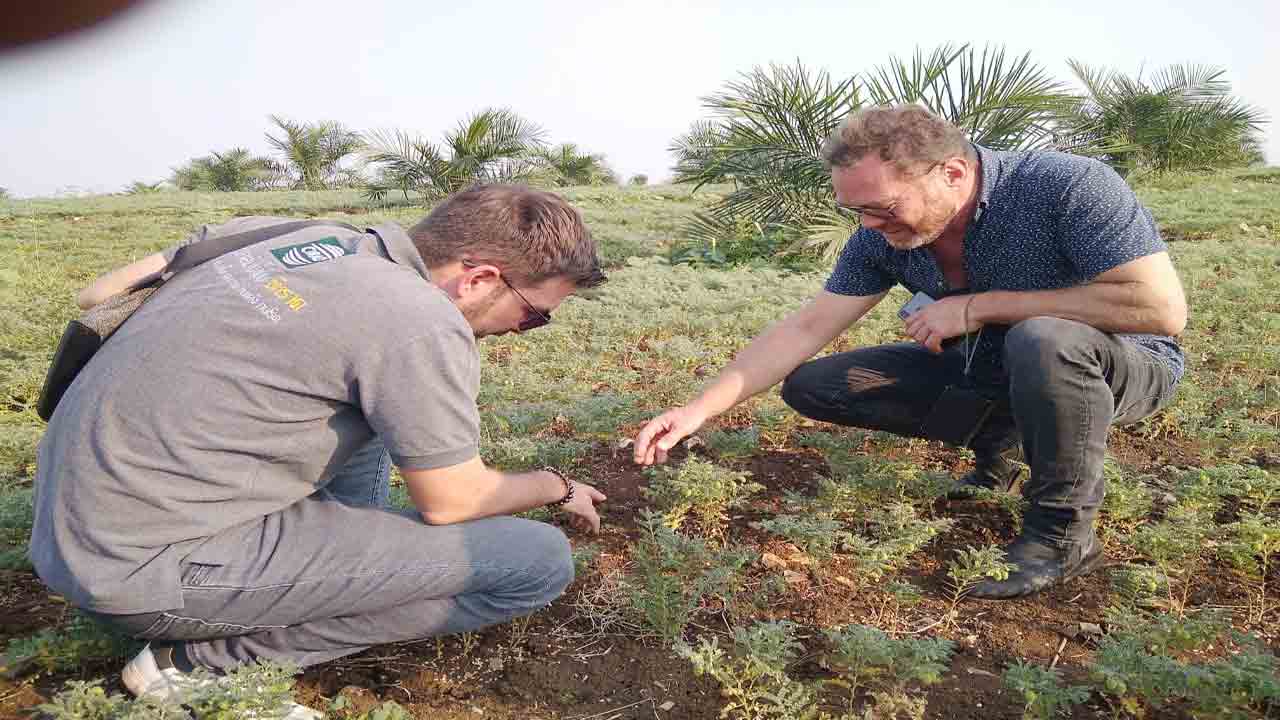 ఆయిల్‌పాం సాగు లాభదాయకం : విదేశీ శాస్త్రవేత్తలు