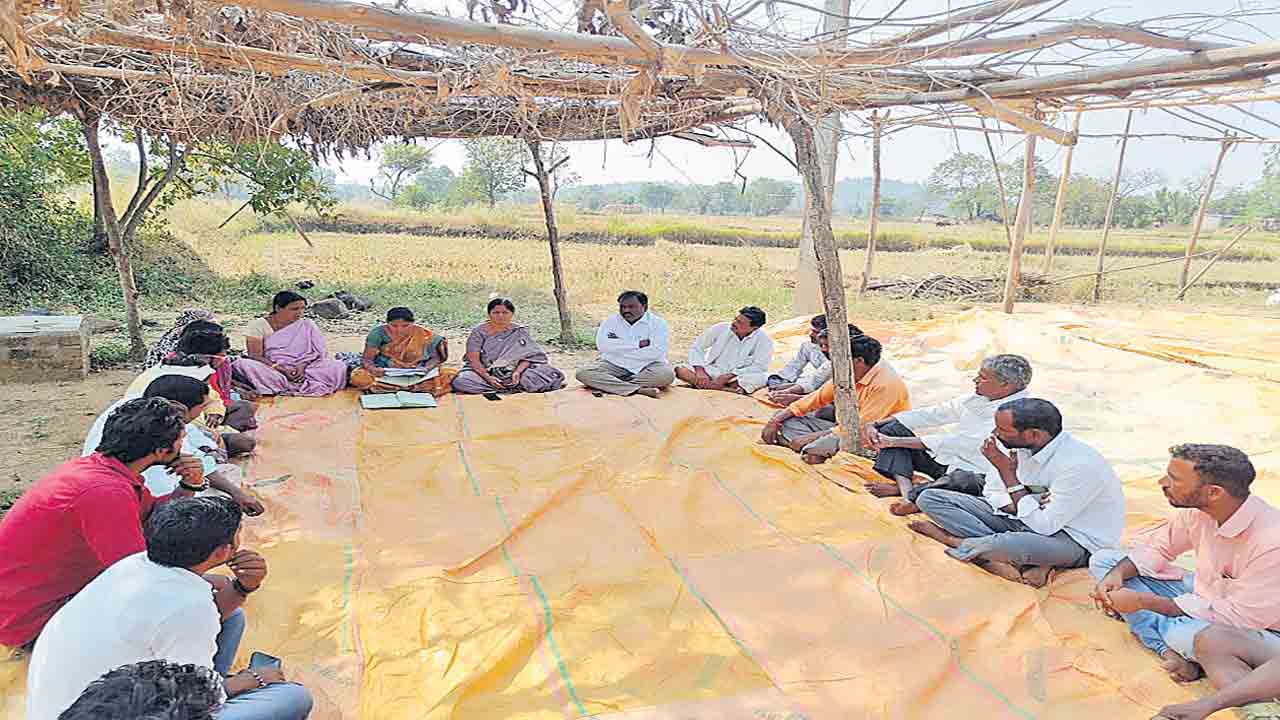 సాగులో ఉంటేనే పట్టాలు