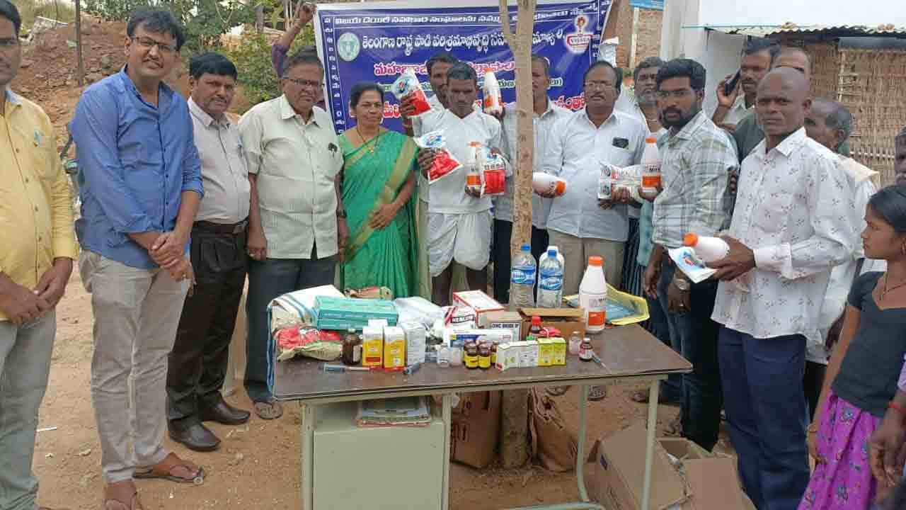 పాల ఉత్పత్తులతో అధిక లాభాలు