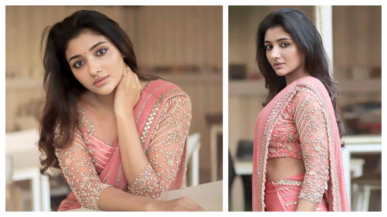 Mirna Menon | గులాబీ రంగు చీరలో కైపెక్కిస్తున్న మిర్నా మీనన్..