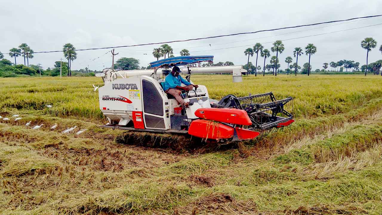సన్నాలకు డిమాండ్‌