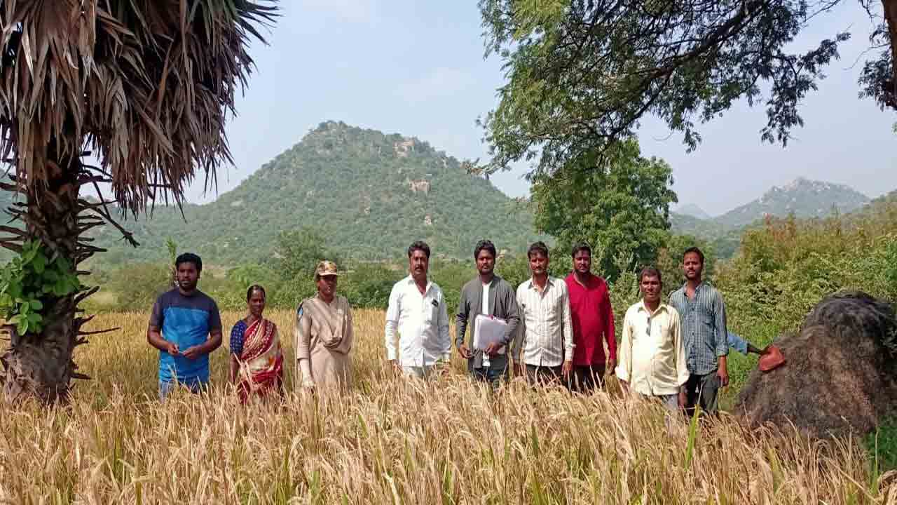 పోడు పరిష్కారం దిశగా