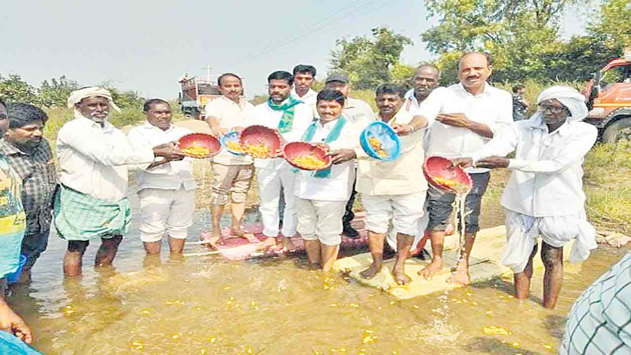 48లక్షల రొయ్య పిల్లల విడుదలే లక్ష్యం