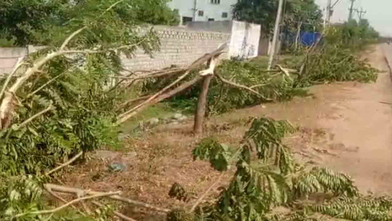 అడ్డొస్తున్నాయని.. అడ్డంగా విరిచారు