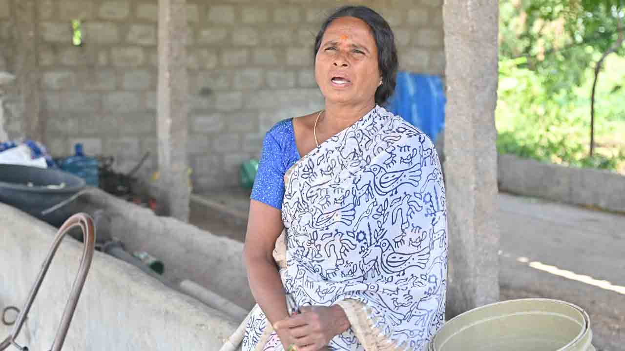 విరిగిన కొమ్మకు చిగురించే ఆశలు