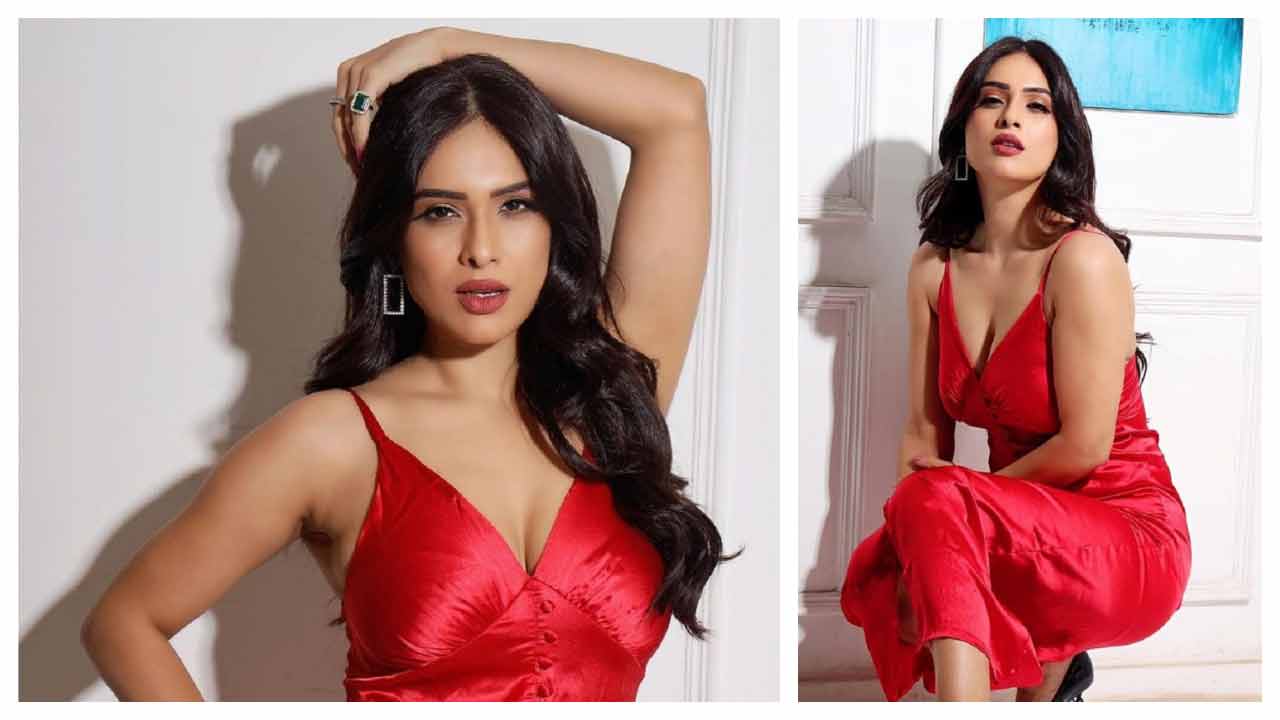 Neha Malik | రెడ్ డ్రెస్‌లో హొయ‌లు పోయిన నేహా మాలిక్..