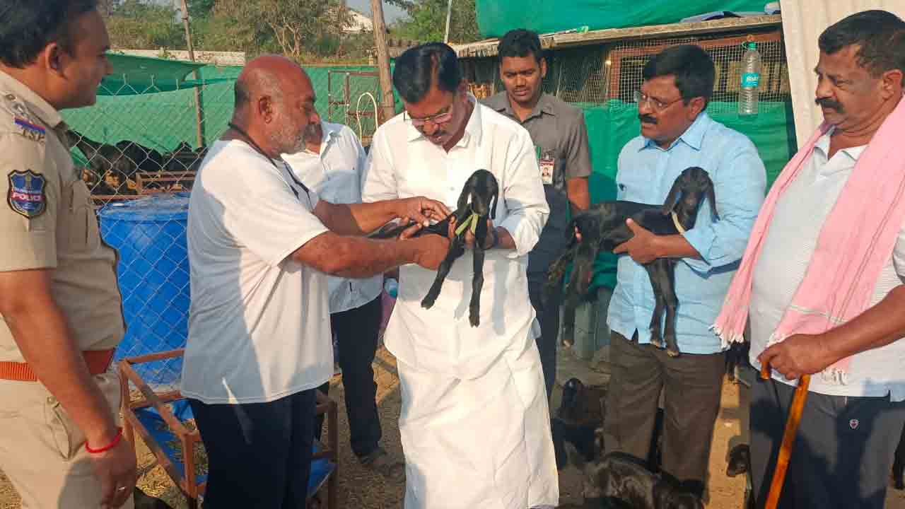 తెలంగాణలో పెరిగిన ఉపాధి అవకాశాలు: మంత్రి నిరంజన్‌ రెడ్డి