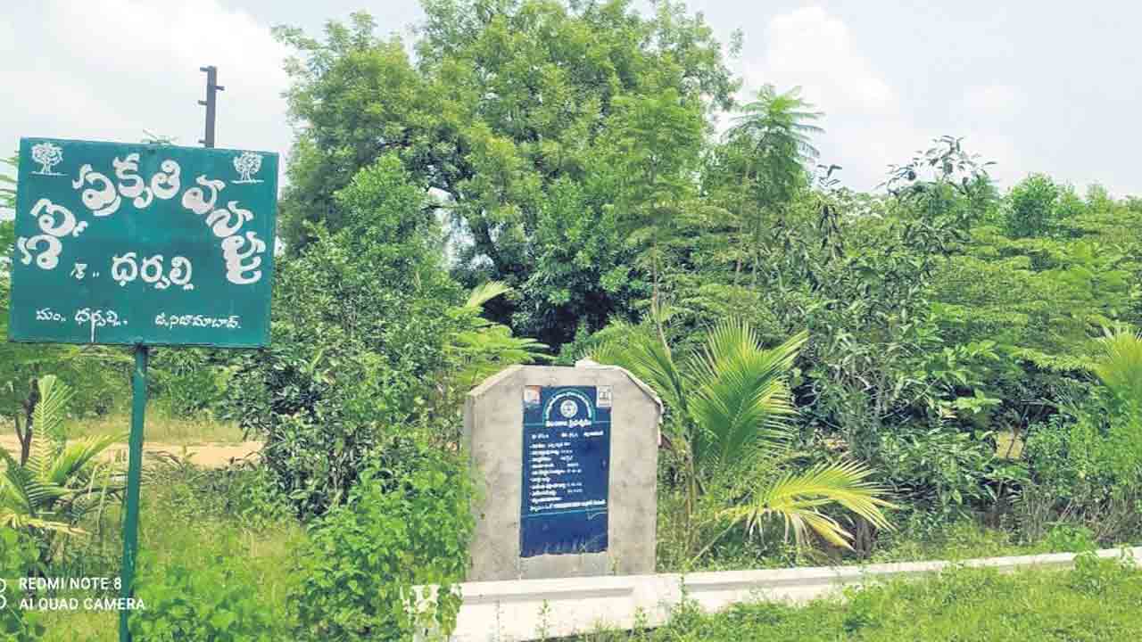 ఆహ్లాదకరం.. ప్రకృతివనం